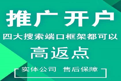案例对比：不同竞价推广策略的优劣分析